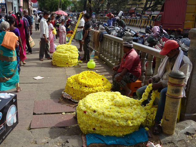 Mysore